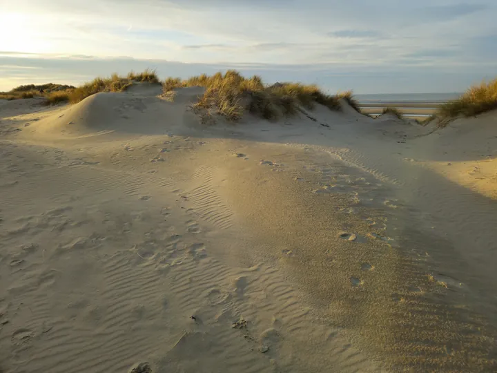 Oostnieuwkerke duinen wandeling in de koude (België)